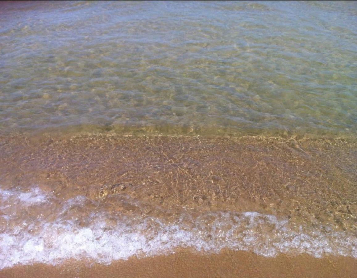 Sea-life *